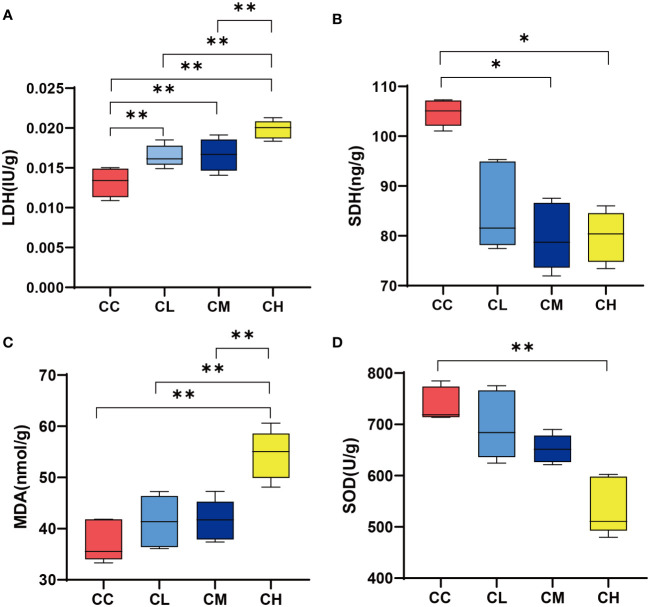 Figure 3