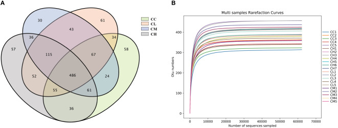 Figure 5