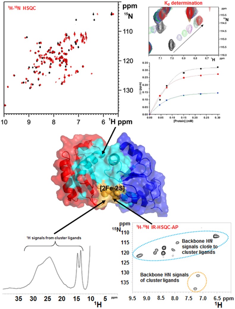 Fig. 4