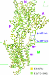 Fig. 2.