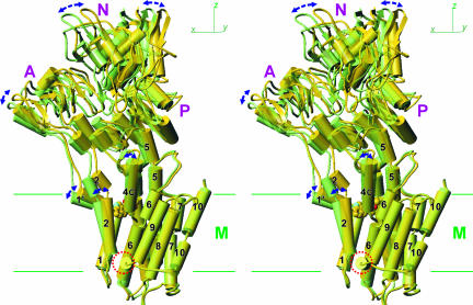 Fig. 5.