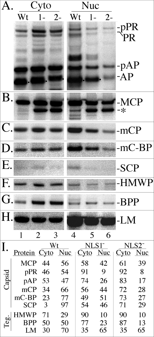 FIG. 5.