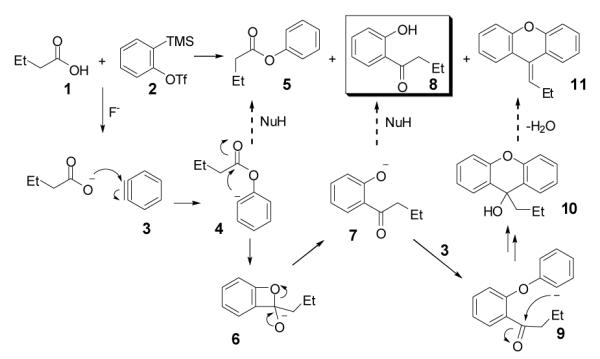 Scheme 1