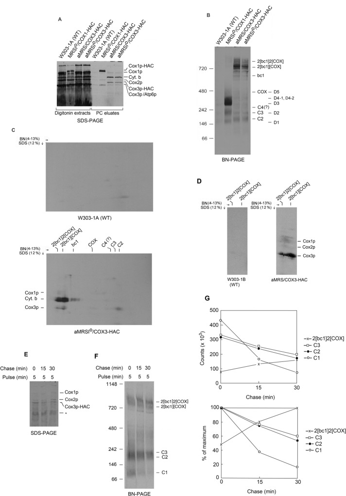 FIGURE 1: