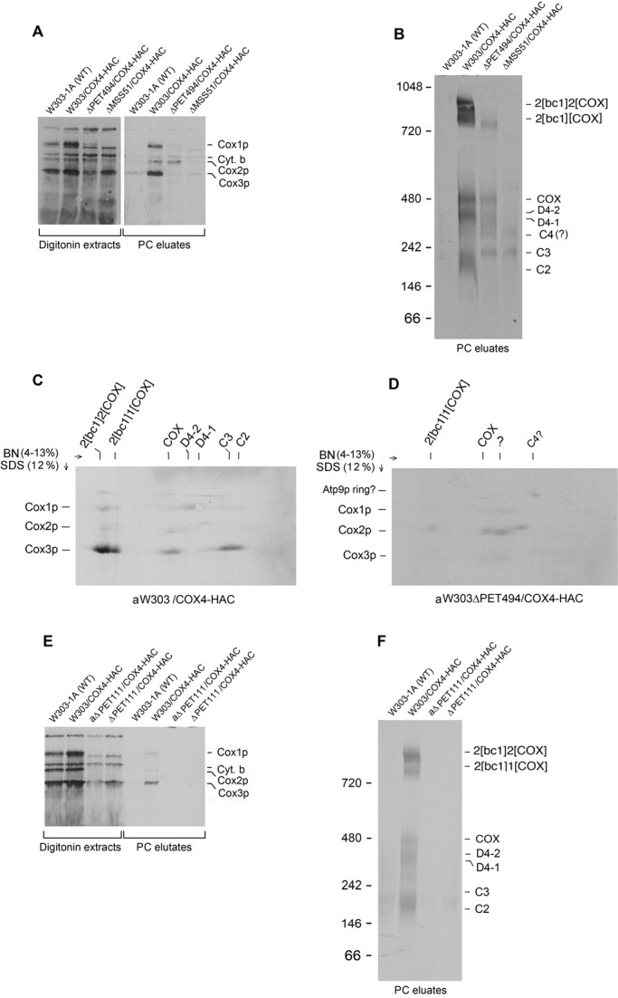 FIGURE 6: