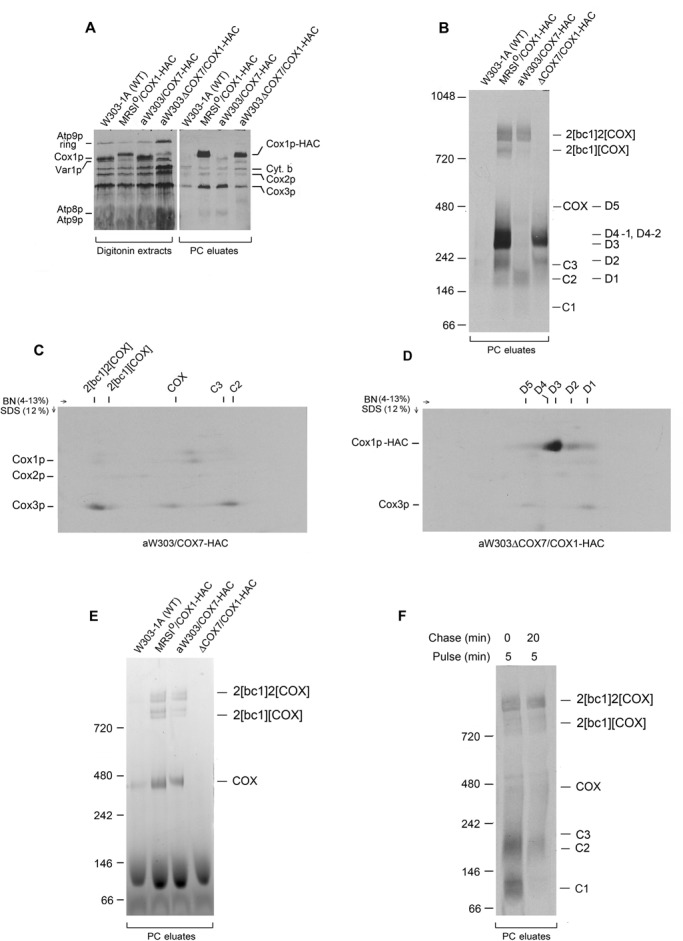 FIGURE 4: