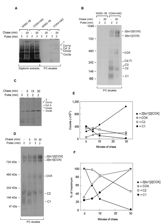 FIGURE 3: