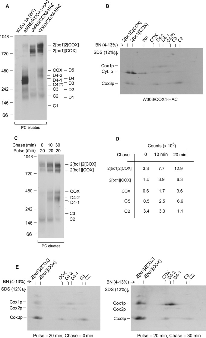 FIGURE 2: