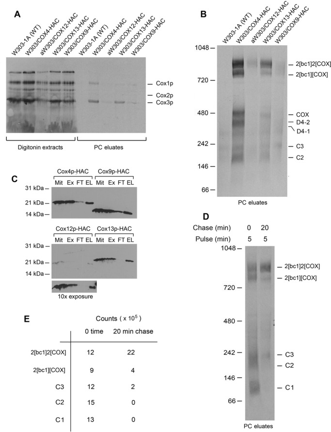 FIGURE 5: