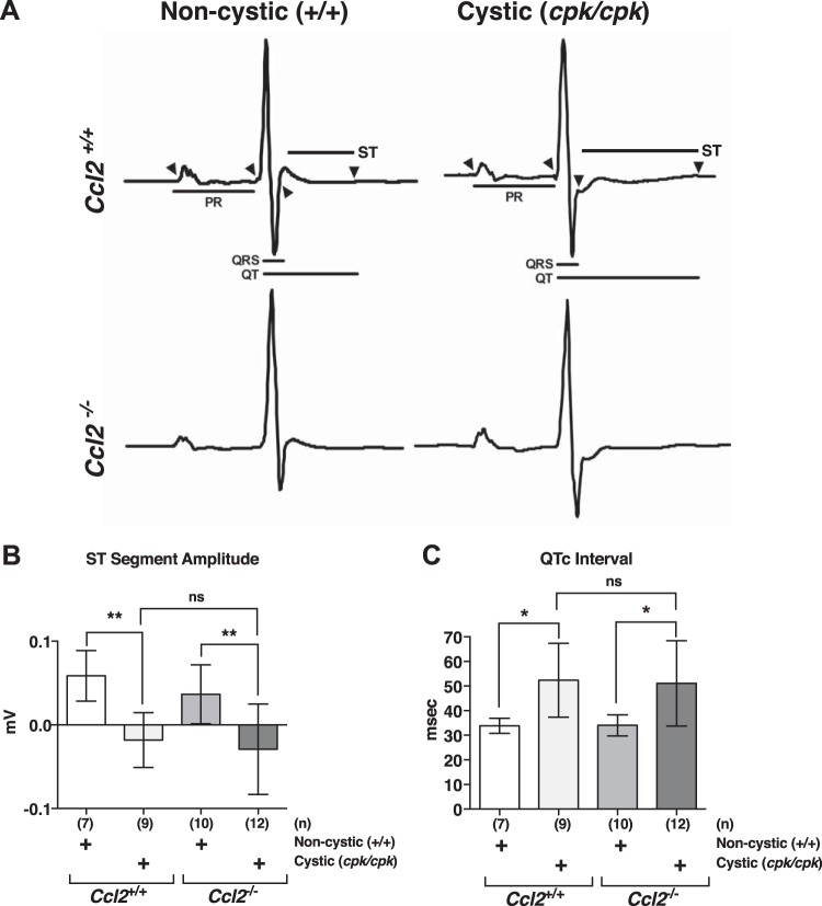 Fig. 10.