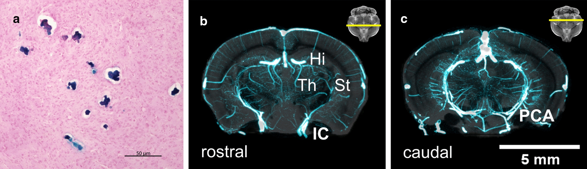 Fig. 6