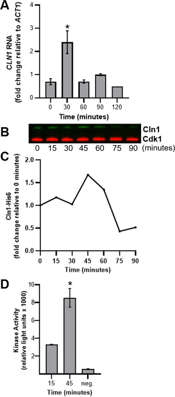 FIG 6