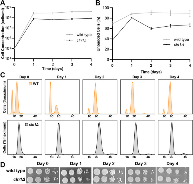 FIG 4