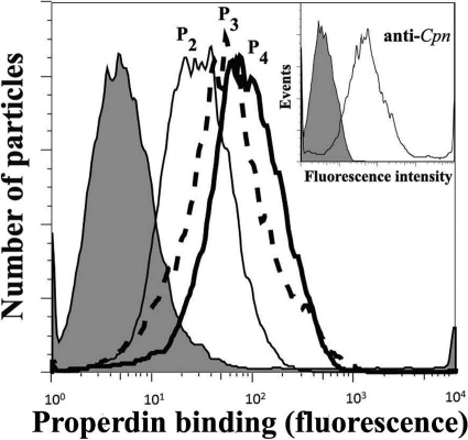 FIG. 2.