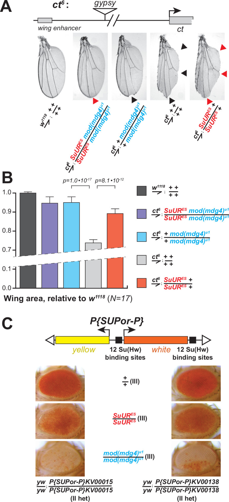 Figure 5.