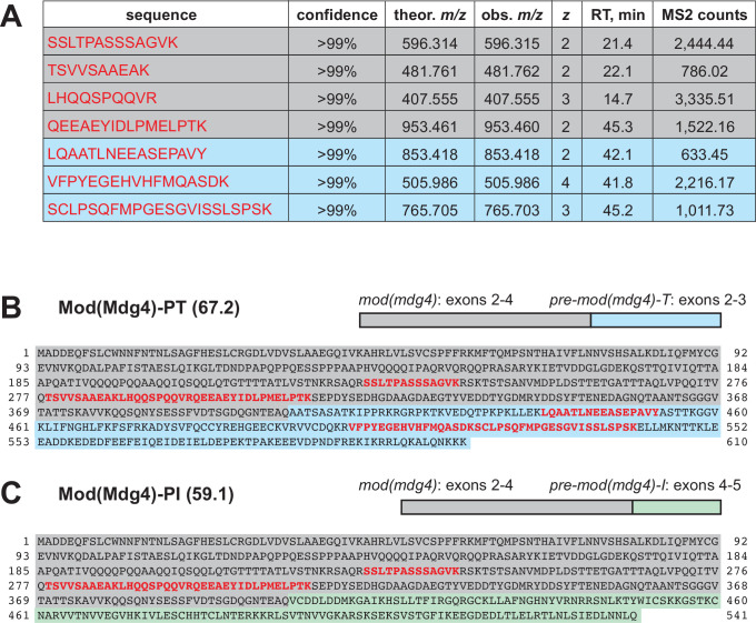 Figure 2—figure supplement 2.