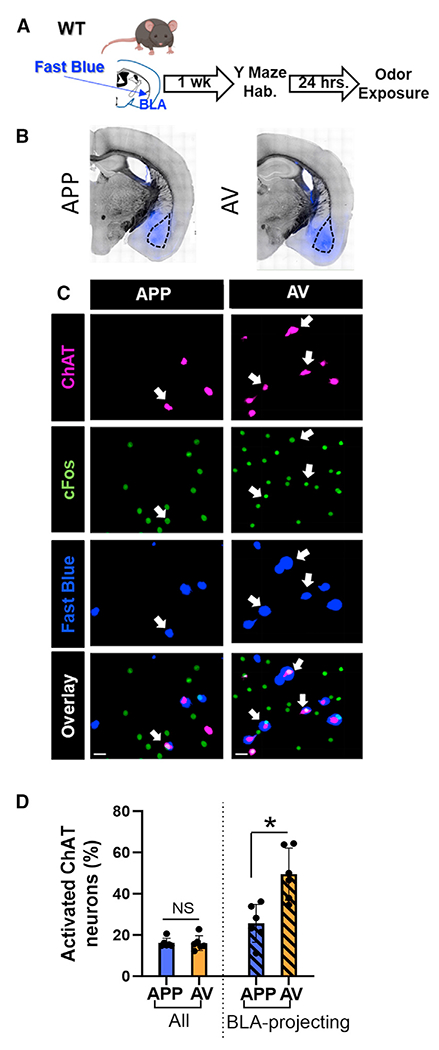 Figure 7.