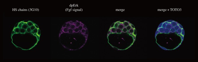 Figure 3.