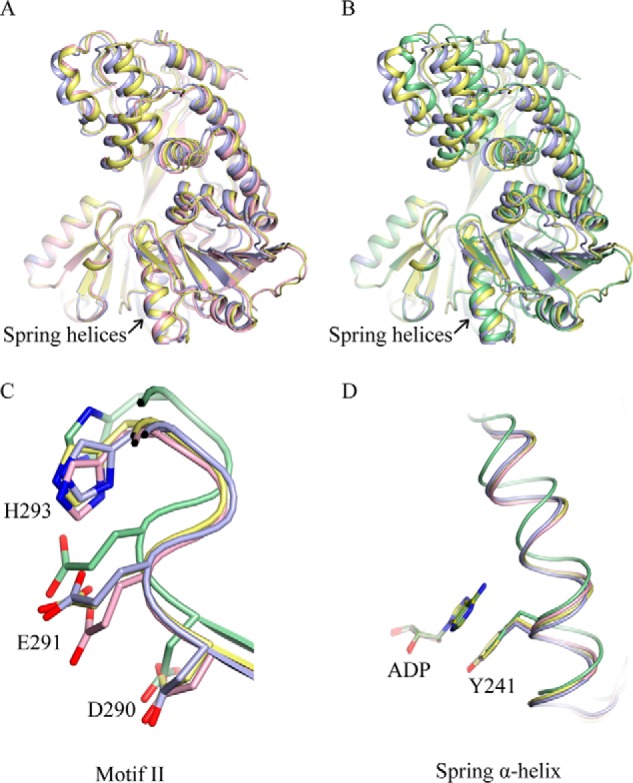 FIGURE 2.