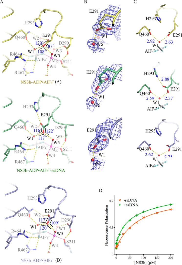 FIGURE 3.