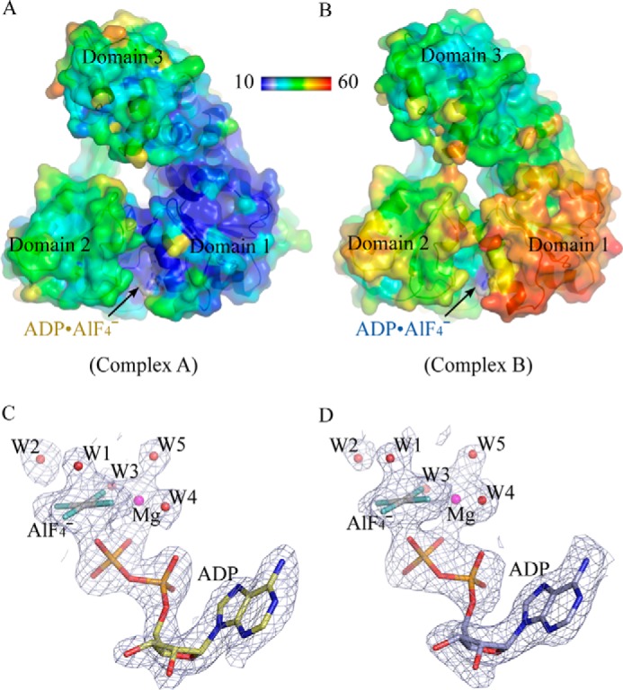 FIGURE 1.