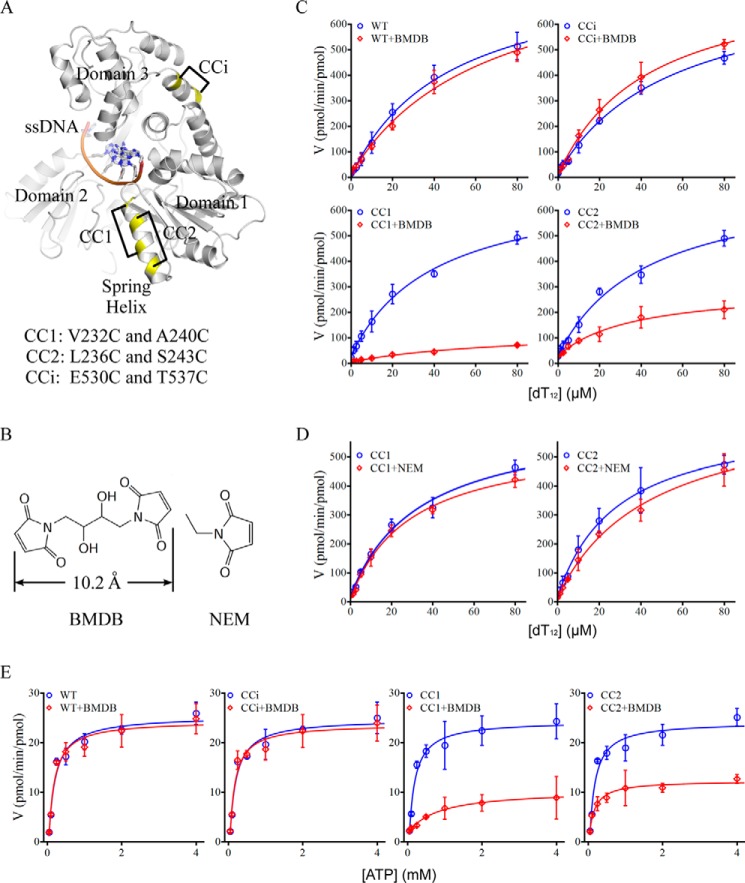 FIGURE 4.