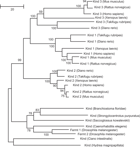 Figure 3.