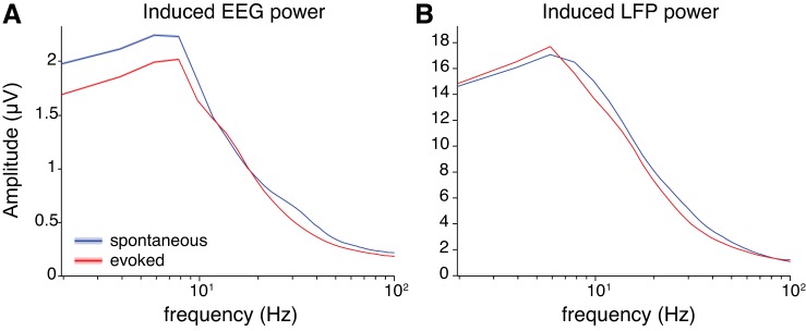 Fig. 13.