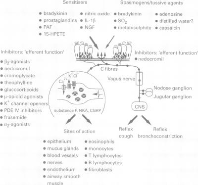 graphic file with name thorax00322-0118-a.jpg