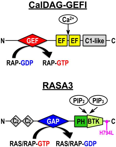 Fig.2