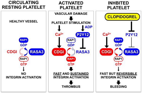 Fig.3