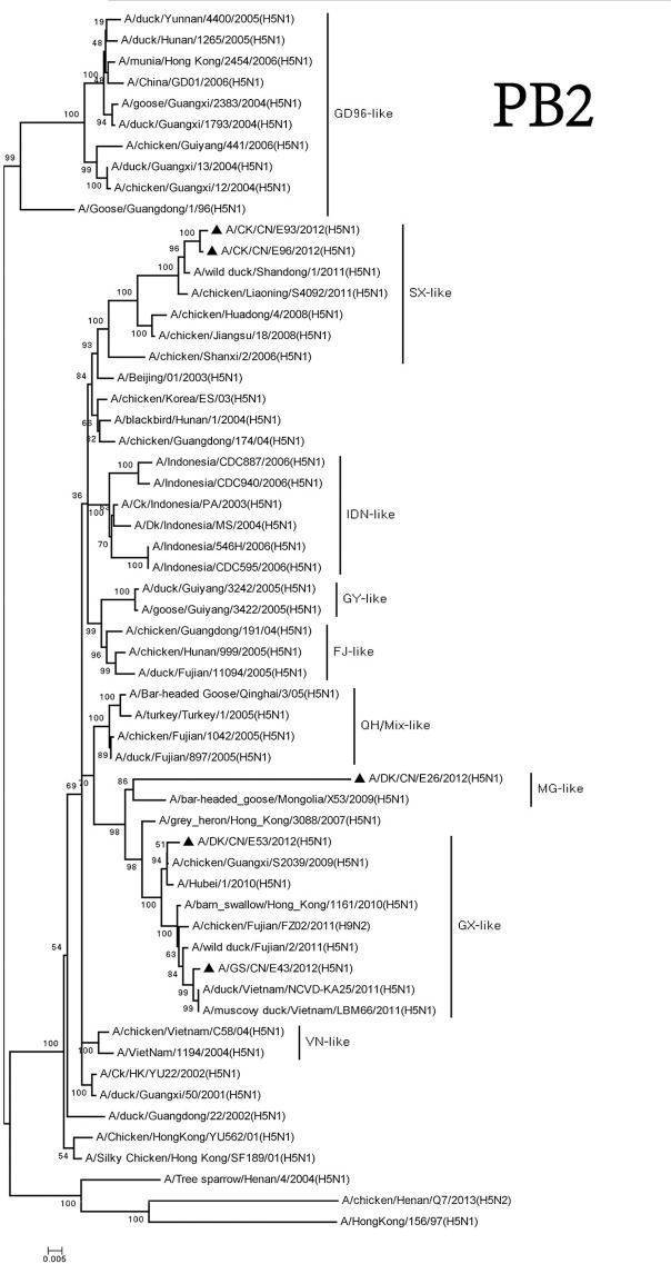 Figure 5