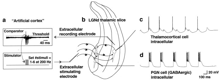 Fig. 1.