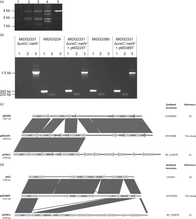 Figure 1.