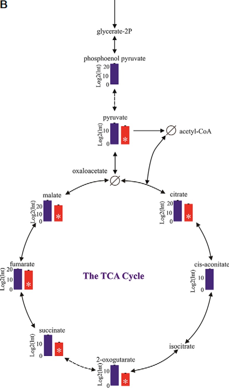 Fig. 8.