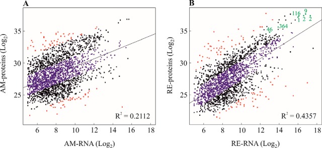 Fig. 13.