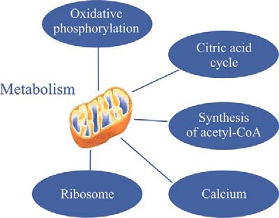 Fig. 16.