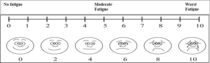 Fig. 6