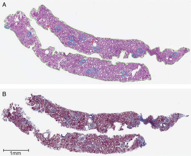 FIGURE 1: