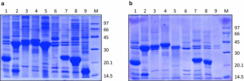 Fig. 5