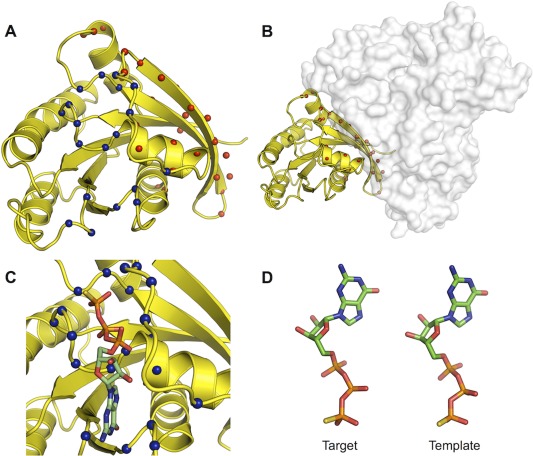 Figure 7