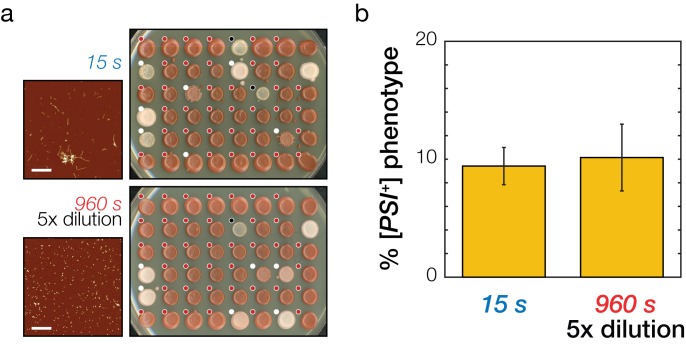 Figure 5—figure supplement 3.