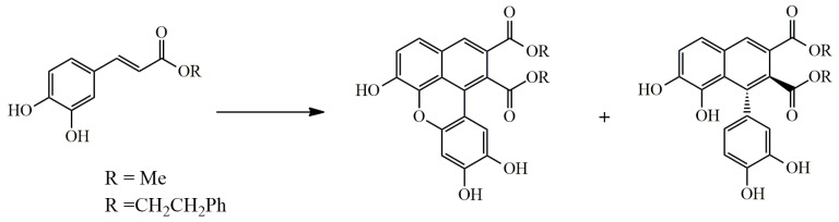 Scheme 3