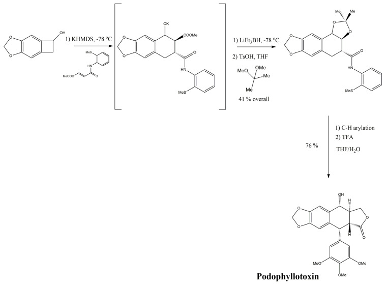 Scheme 16