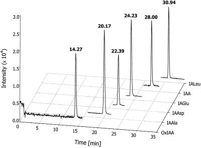 Figure 2