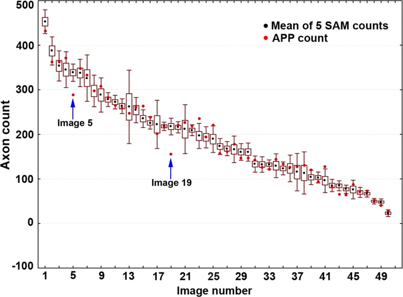 Figure 5. 