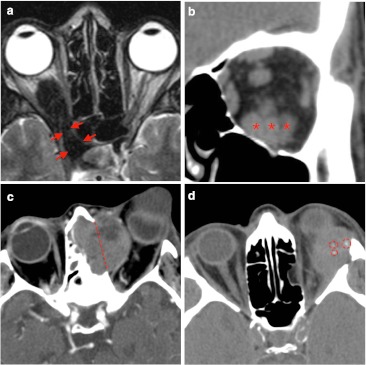 Fig. 8