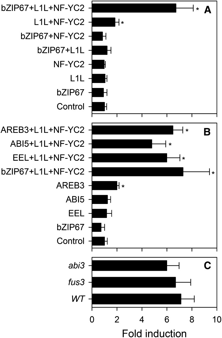 Figure 5.