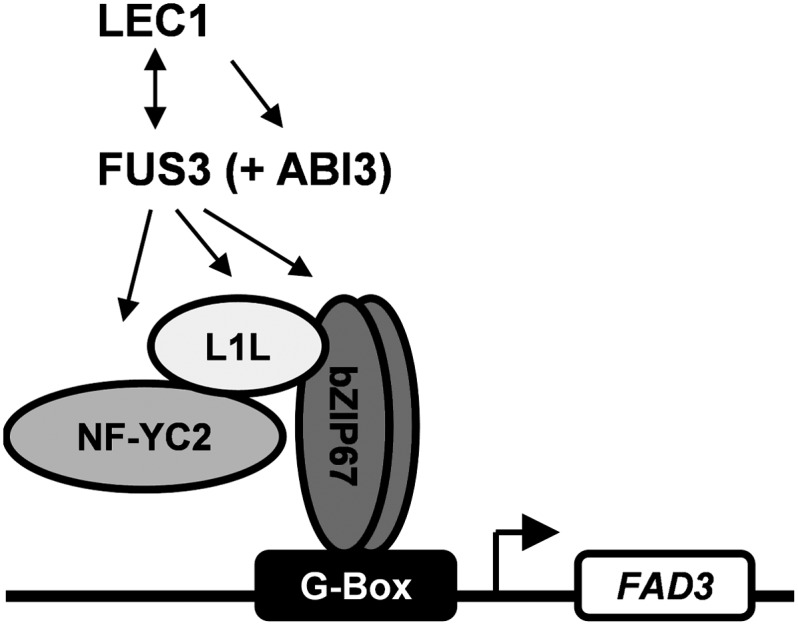 Figure 10.