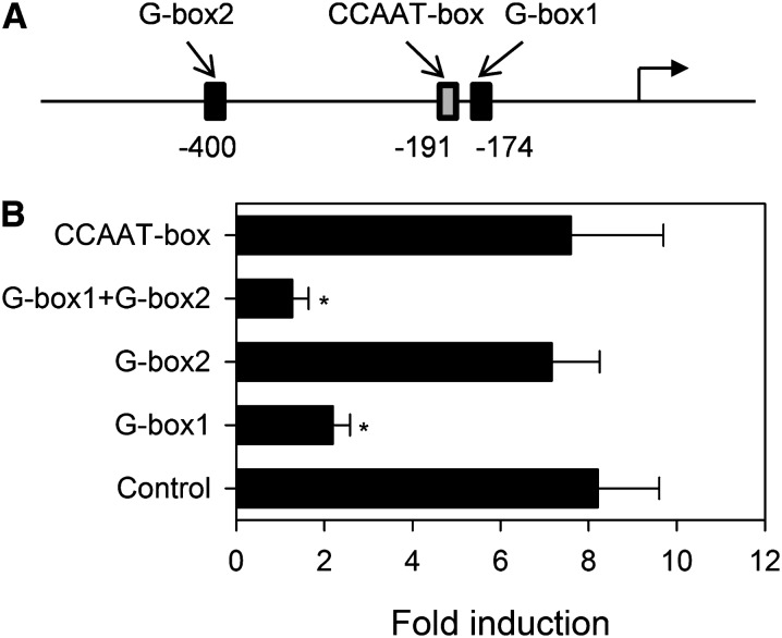 Figure 6.